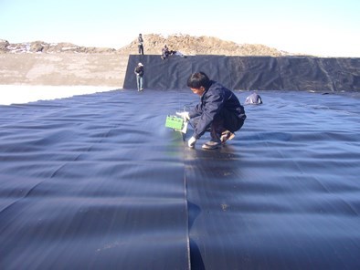 Length Client's Requirement HDPE Geomembrane Waterproof for Fish Farm Pond Liner Sheet