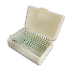 Medical Teaching Research Algae Botany 10pcs Pre Prepared Microscope Slides Manufactures