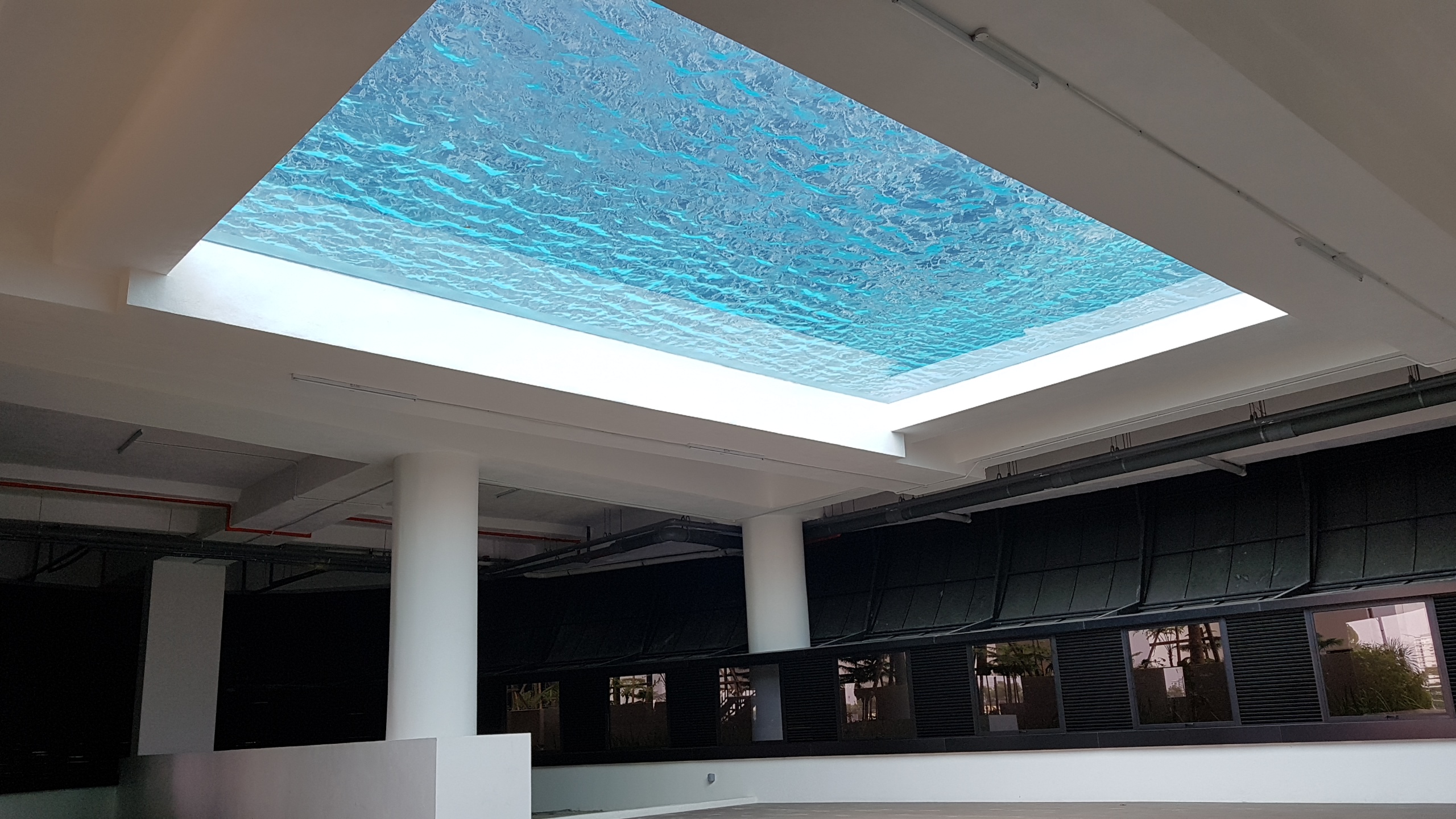 Customer's Demand Outdoor Rectangular Pool with Carbon Fiber and Fiberglass Material