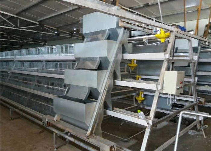 High Strength Layer Poultry Farming Equipment Cross - Opening Door Design