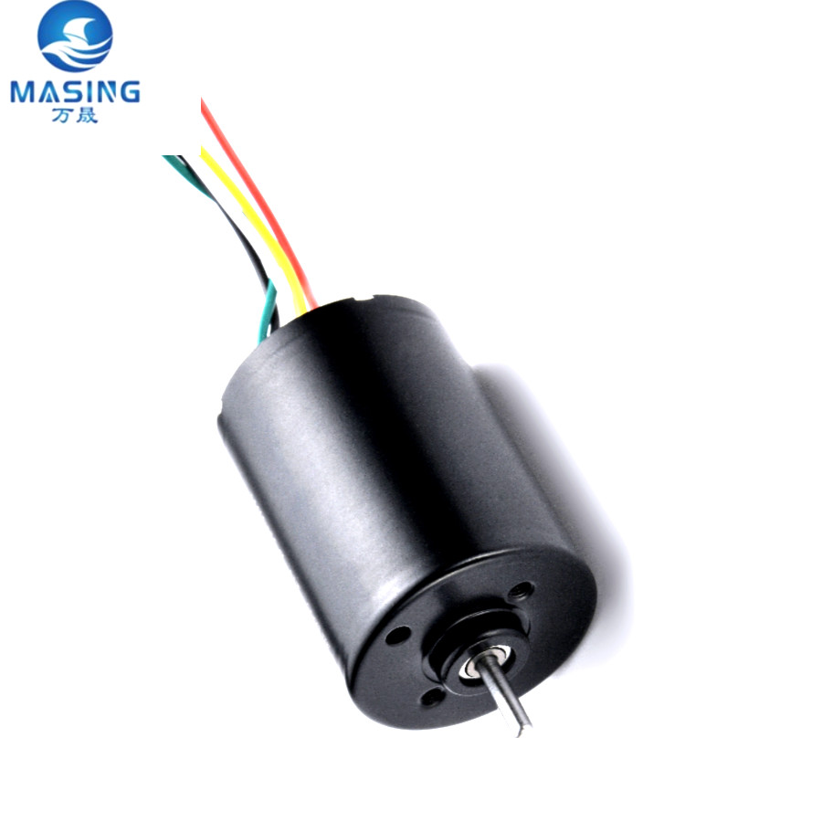 28mm Permanent Magnet DC Brushless Motor 24V 2838 BLDC Permanent Magnet Motor