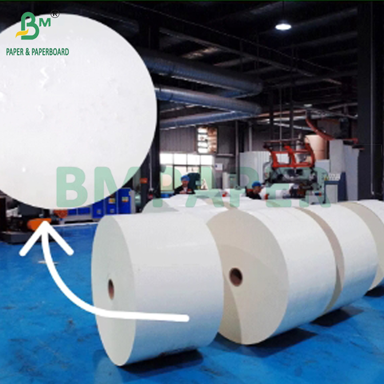190gsm + 15gPE P1S Cup Paper Gloss For Coffee Shop Waterproof 720mm 880mm