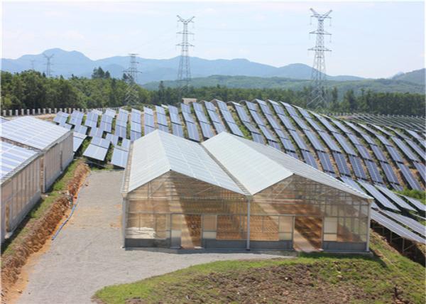 High Density Greenhouse Solar System Economical Planting Hot Dip Galvanized