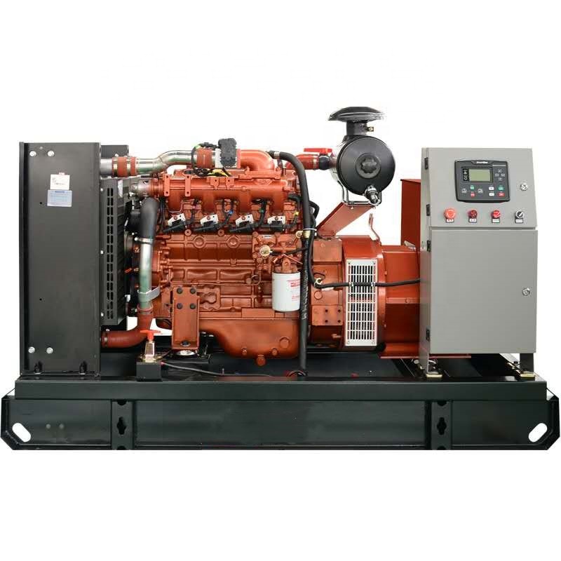 Power plant use container Natural Gas Generator 800kw 1000KW Silent Single Phase three phase 380V/220V Auto Start Brushless