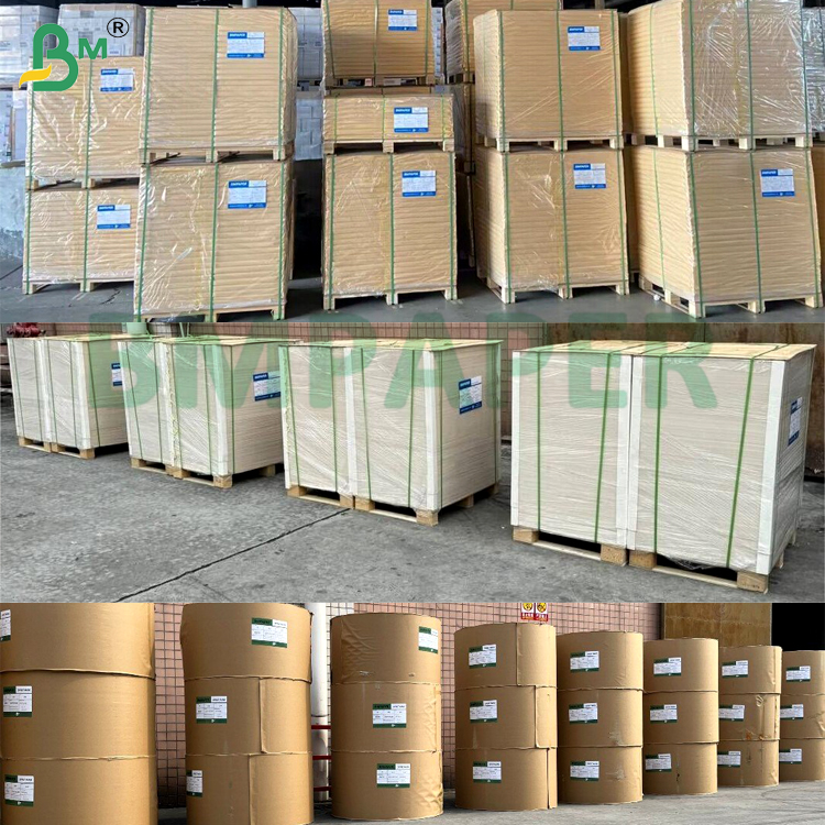  12pt 14pt Smooth Printability Food - Safe C1S High Bulk For Food Packaging