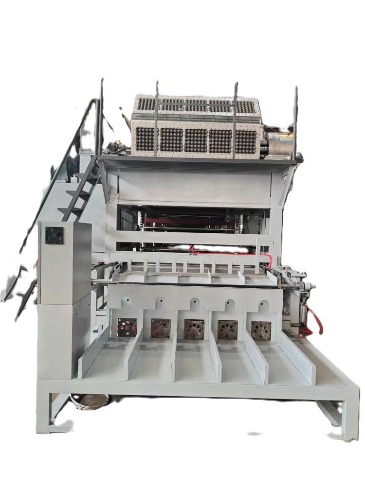 Customized Template Size Electricity Power Source Paper Pulp Molding Egg Tray Machine