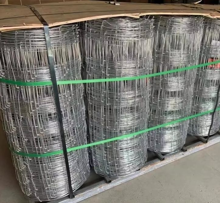 Fixed Knot Woven Wire Field Fence Galvanized Sheep Farm Fence