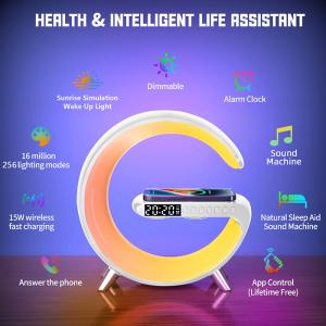 Voice Control G Speaker Lamp with Portable Design and RGB Light Color