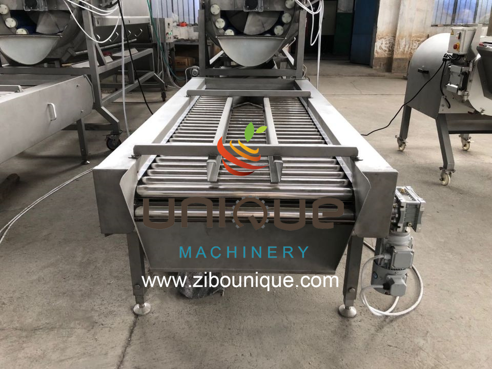 Potato Peeling and Washing Machine 2.25 kw for Food Processing Industries Efficiency