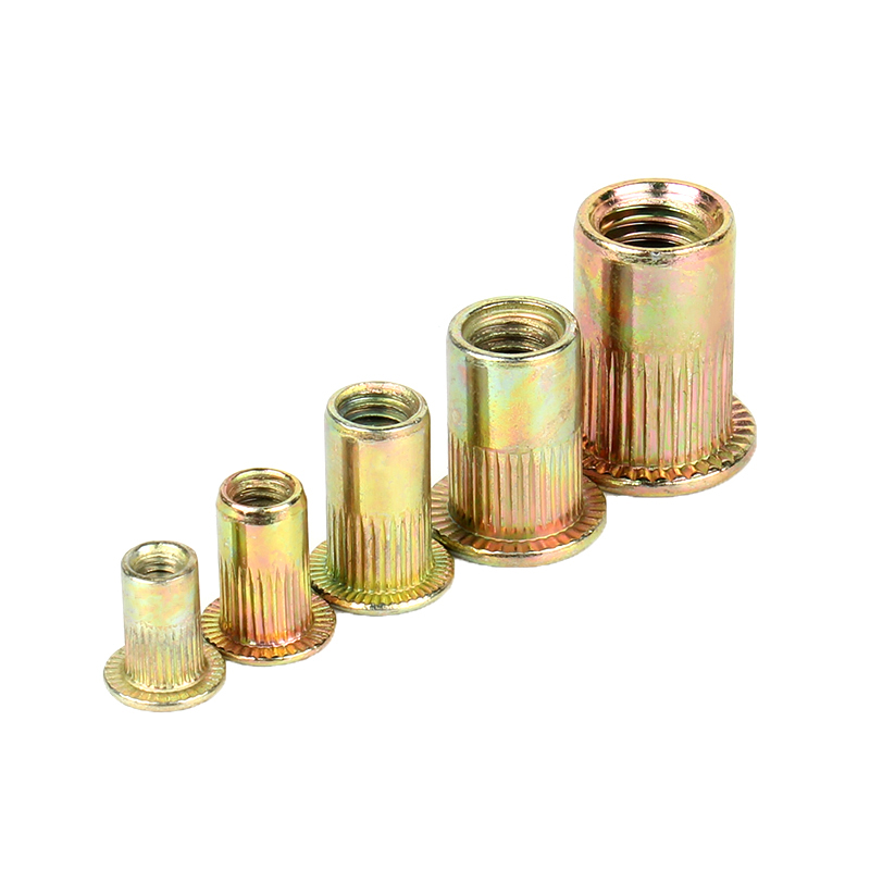 Galvanized Flat Head Nut with Grade 4.8/8.8/10.9/12.9 Ect Knurled Vertical Rivets
