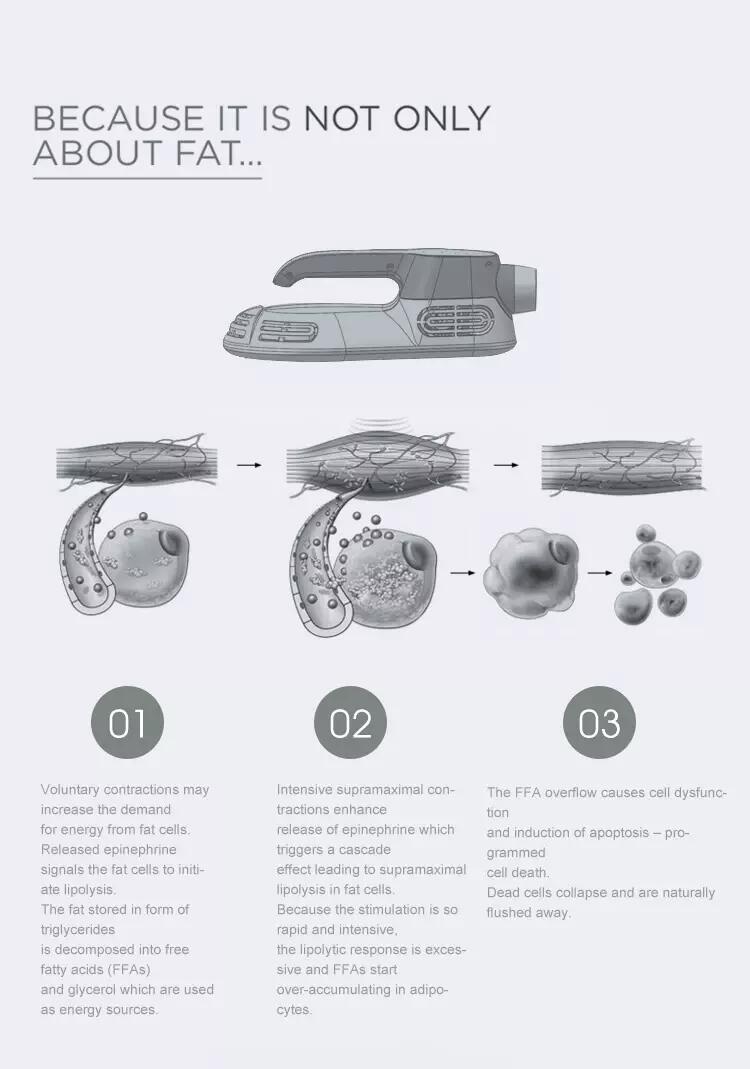 EMSlim handle.jpg