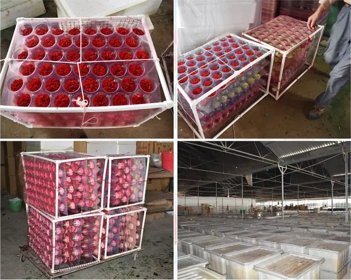 Wholesale Soft Touch Preserved Rose 5-6 cm Silver Color Eternal Rose girlfriend gift