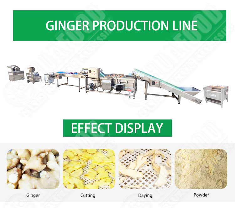 Grape Ginger Root Extract Powder Machine With High Quality