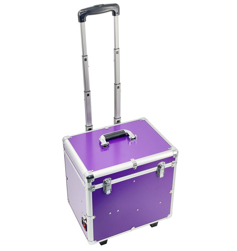 Mini Suitcase Design Vet Dental Operation Unit 3 Color Factory Pet Dental Treatment Machine