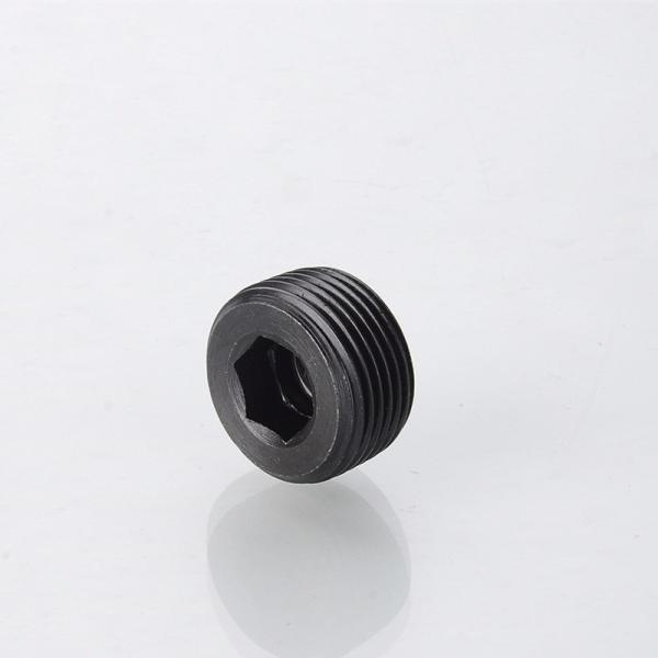 Hydraulic Tube Fitting BSPT Male Hollow Hex Plug 4tn for Performance and