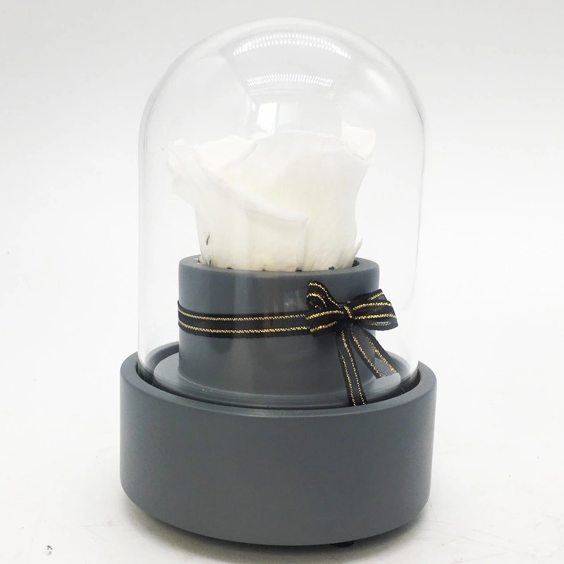 Long Lasting Preserved Roses In Bluetooth Music Glass Dome For Birthday/Anniversary/Valentinesday Gift