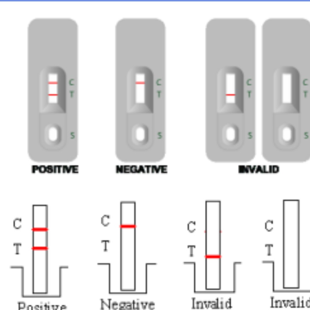 Rapid Test For Detection Of Norovirus Antigen With 20kits Colloidal Gold Method with CE