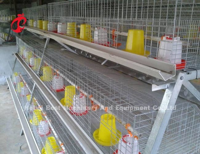 Galvanized 120 Capacity Brooder Chicken Cage Rearing Day Old Layer Chicks Iris