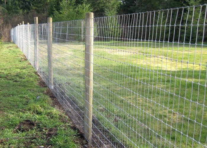 Protection Electro Galvanized Steel Cattle Fence , Deer / Grassland Wire Fence