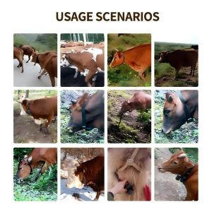 Geo-Fence Livestock GPS Monitoring Solution For Cattle Real-Time Tracking And