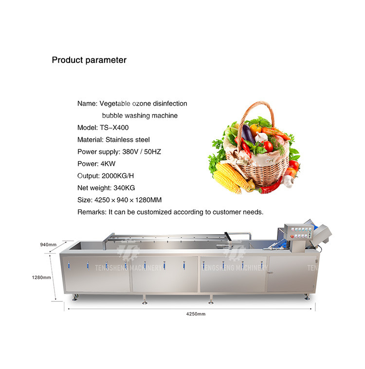 2000KG/H Fruit And Vegetable Washing Machine Bubble Washing Equipment
