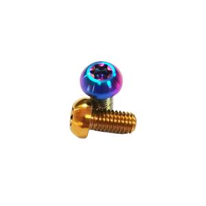 Titanium Disc Brake Screw With Round Hex Head