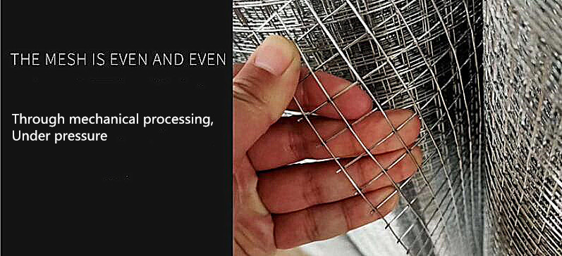 6X6cm 304 Galvanized Welded Wire Mesh Fence For Animal Enclosure