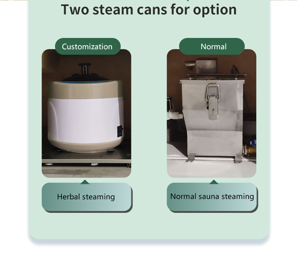 Steam Far Infrared Sauna Capsule PEMF Ozone Spa Capsule For Whole Body And Health