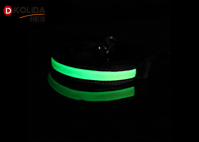 Green / Pink / Blue Nature Nylon 120cm Illuminated Dog Leash , USB LED Waterproof Pet Collar