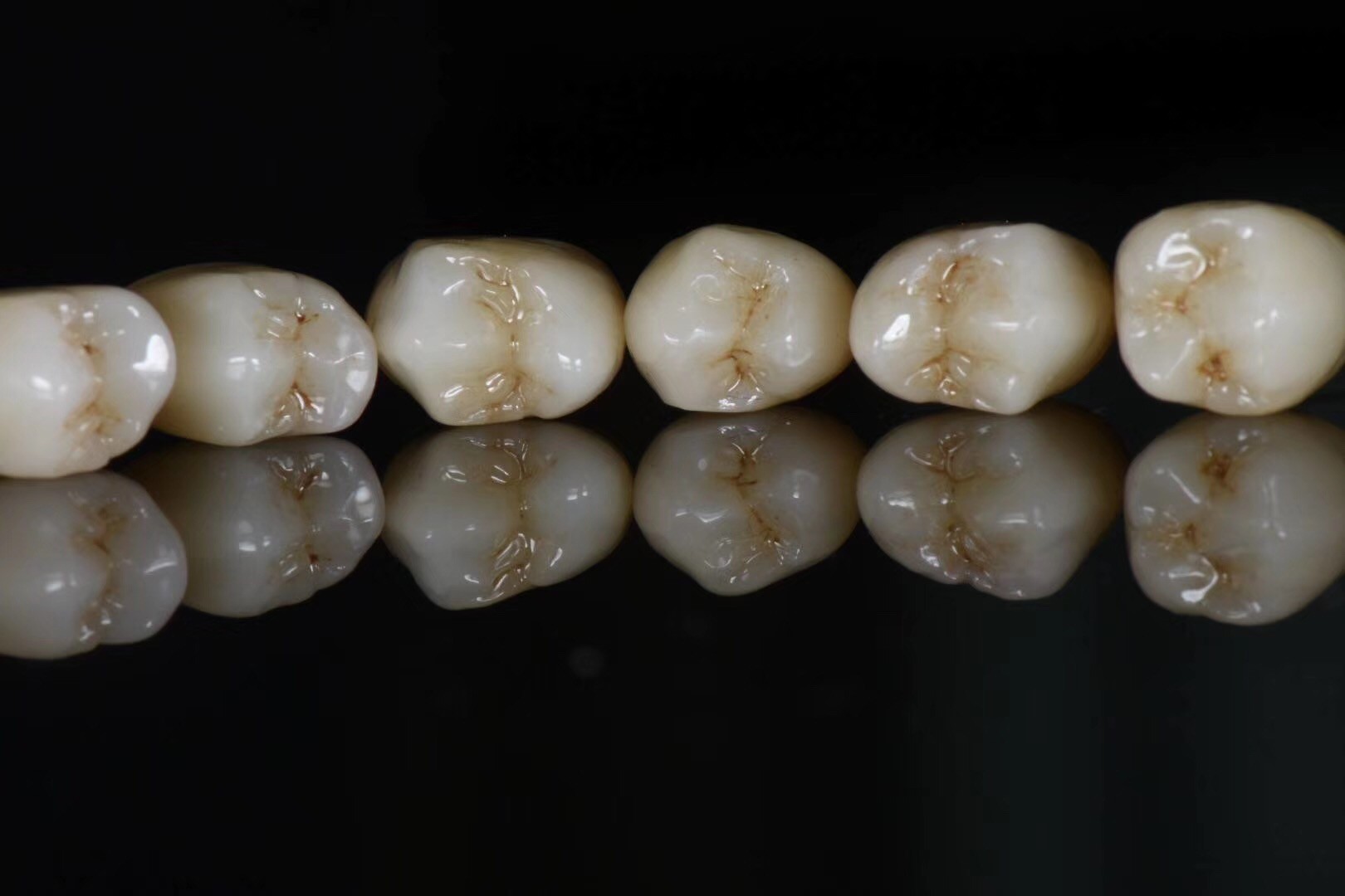 BL1 BL2 BL3 Pre Shaded Zirconia Blocks Cad Cam With Brightness Values
