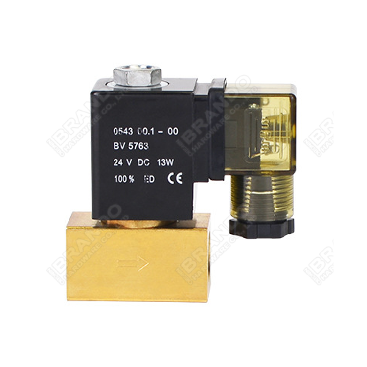 High Pressure Water Air Stainless Steel Solenoid Valve 100 Bar 12V 24V