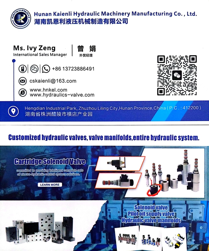 Solenoid Hydraulic Throttle Valve Steel / Iron One Way Flow Valve