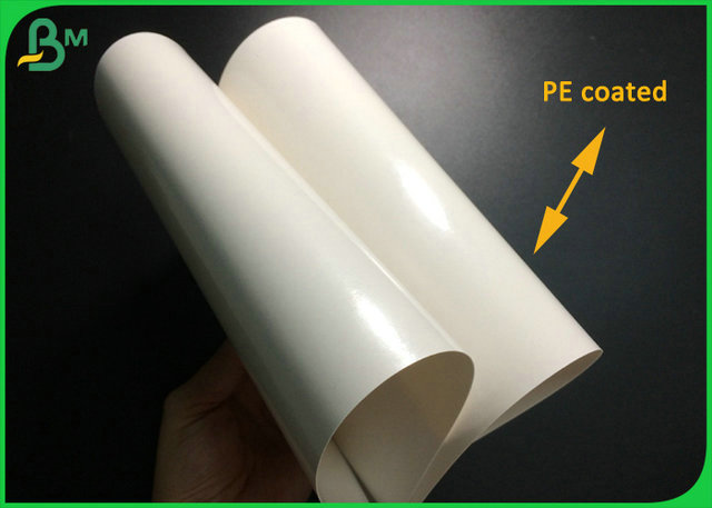 FDA Approved 300gsm 350gsm 400gsm C1S PE Coated Ivory Board For Lunch Box