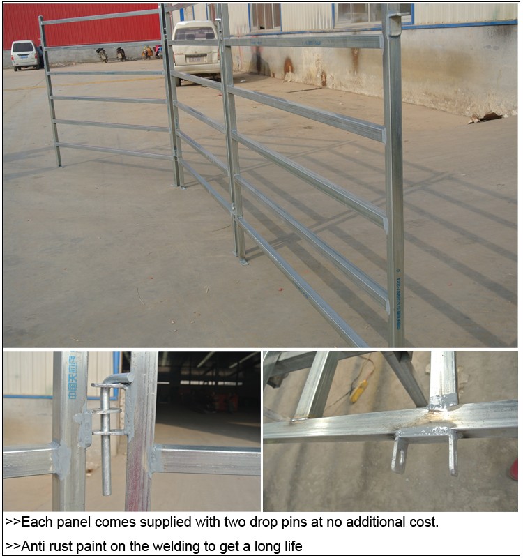 Heavy Duty Galvanized Livestock Cattle Yard Panels Portable Horse Panels