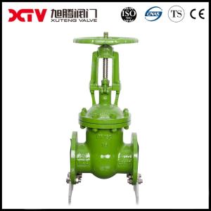 Customization Vacuum Flanged Gate Valve Non-Rising Stem DN15-DN500 with Manual