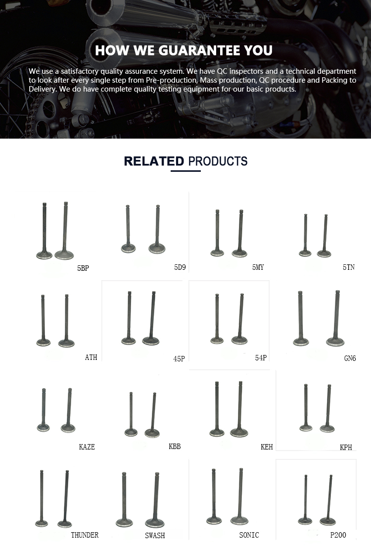 Intake Exhaust Valve For Motorcycle Engine Three Wheel GD115