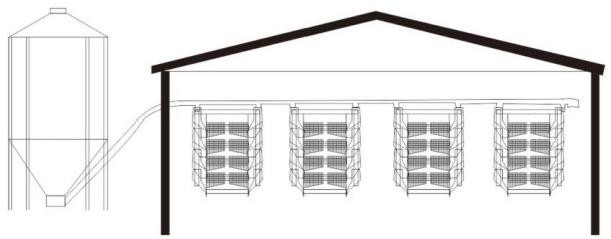 A Type Layer Rearing Broiler Chicken Cage System Fully Automated