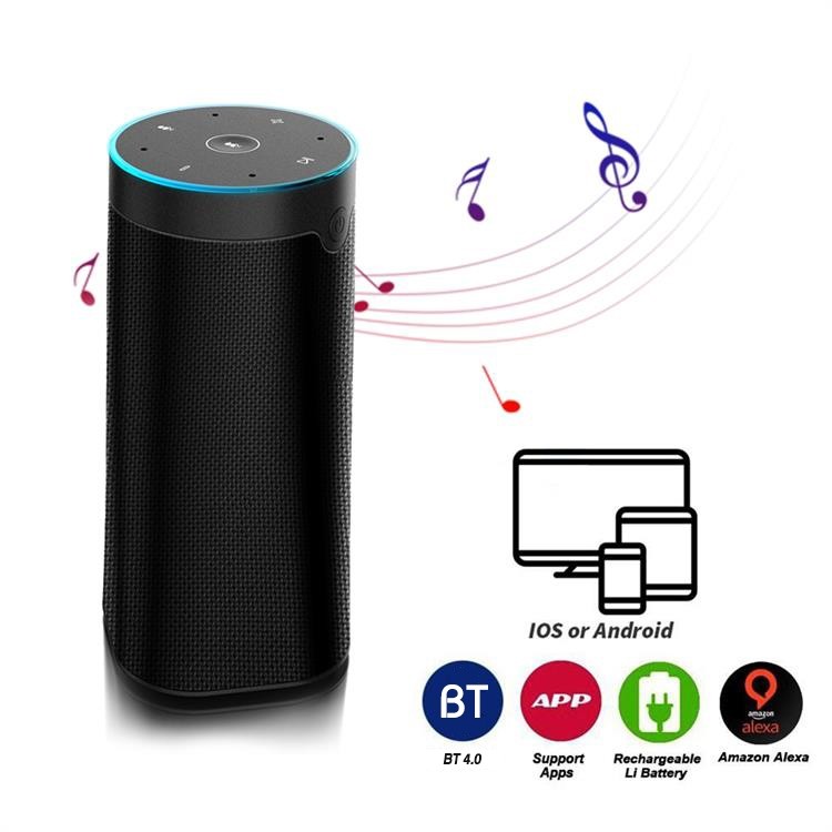 Amazon Alexa Smart AI Speaker Digital Class D Amplifier Speaker Passive Type