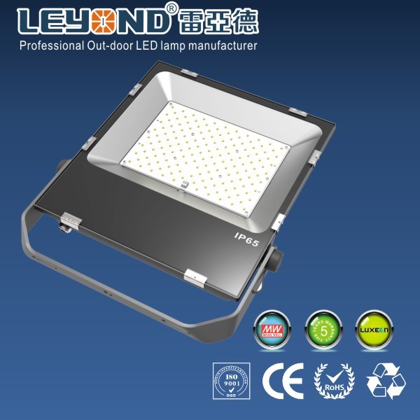 Sport Field 100w Waterproof LED Flood Lights Black Body SMD Lumileds 3030 chip