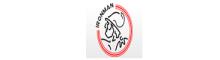 China IRONMAN TECHNOLOGY CO., LTD logo