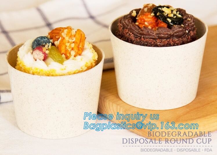 Meal Prep Containers Free Sample Bento Lunch Box Biodegradable Food Container Plastic Wheat Straw Lunch Box bagplastics