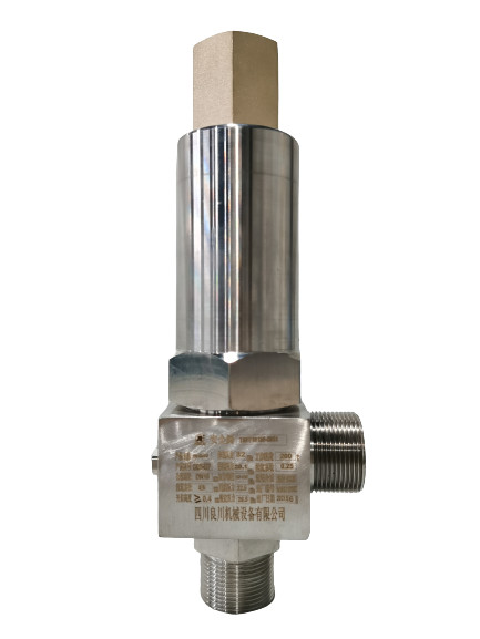 Full Open Cryogenic Safety Valve Globe Valve Cryogenic Pressure Vessel Accessories