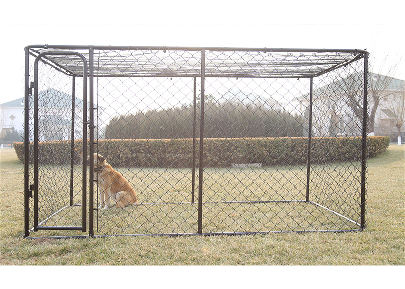 Chain link dog kennel dog run playpen 6'x10'x10'