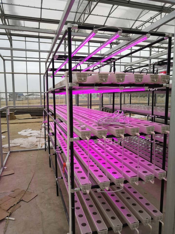 Greenhouse Agriculture Iot Vertical Factory For Modern Agriculture