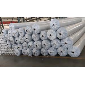 10% Elongation Polyester/Polypropylene PET/PP for B2B Sourcing Requirements
