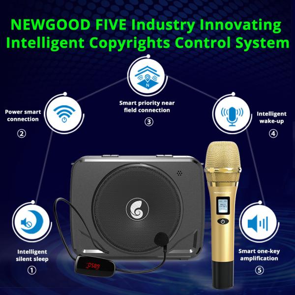 50W 30W 20W 15V 12V 2 set uhf wireless microphone headset handheld voice