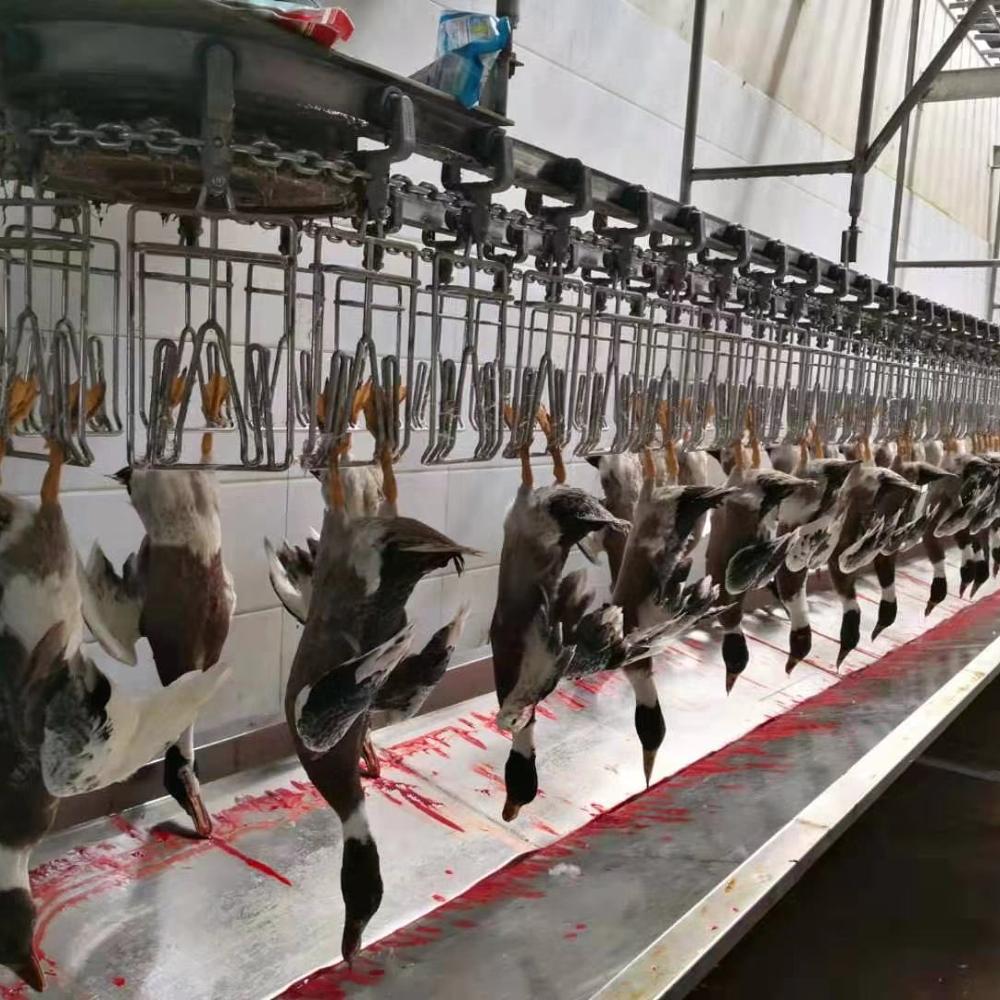 3000BPH Duck Slaughter Machine 380V / 220V Poultry Processing Equipment