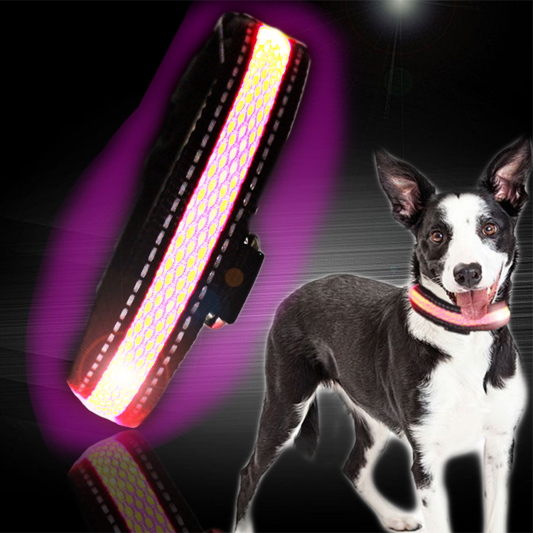 Waterproof Flashing Dog Collar , Nylon Material Safety Rechargeable Petsafe Dog Collar