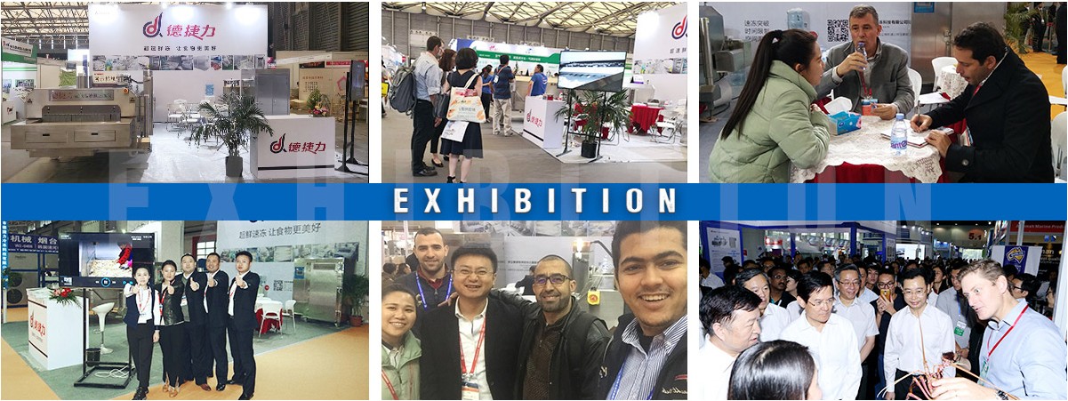 DJL High Quality Seafood Iqf Machine / Industrial Freezer Cryogenic Freezer