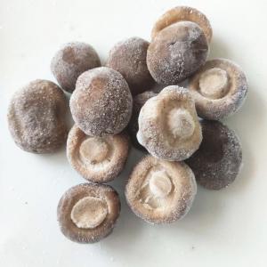  IQF Frozen Shiitake Mushroom Whole, blanched Manufactures